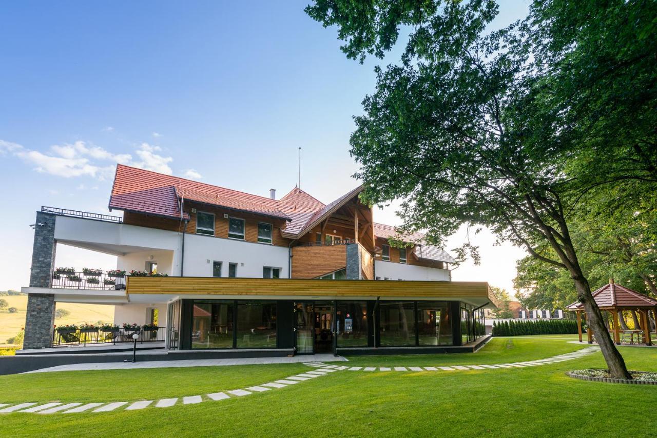 Panorama Boutique Hotel Sfântu-Gheorghe 외부 사진