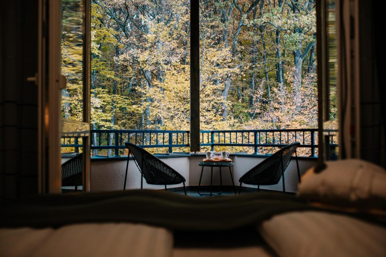 Panorama Boutique Hotel Sfântu-Gheorghe 외부 사진