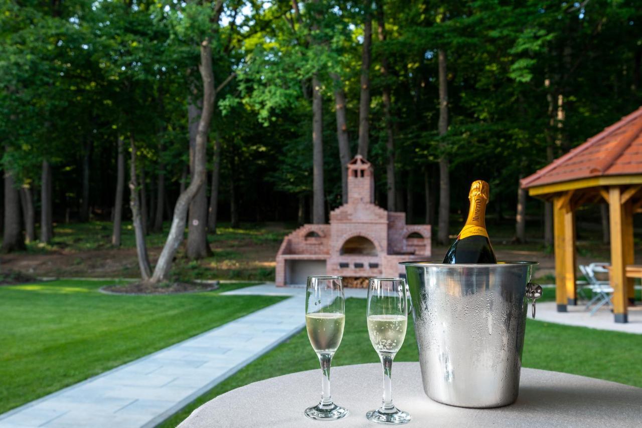 Panorama Boutique Hotel Sfântu-Gheorghe 외부 사진