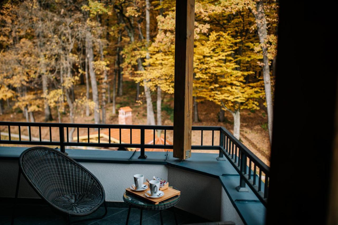 Panorama Boutique Hotel Sfântu-Gheorghe 외부 사진